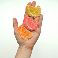 22_Orange Lemon Grapefruit Slice Patches