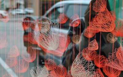 Exhibition: Neon Bloom @ Niagara Artists Centre, Plate Glass Gallery