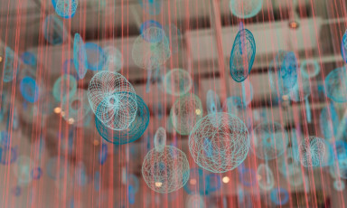 Pink Field Blue Fog Detail