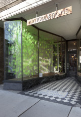 Green to Yellow Scribble Articulations