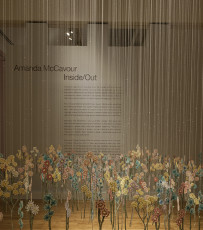 Inside/Out: Virginia MOCA