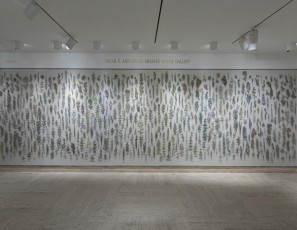 Prairie Plant Studies