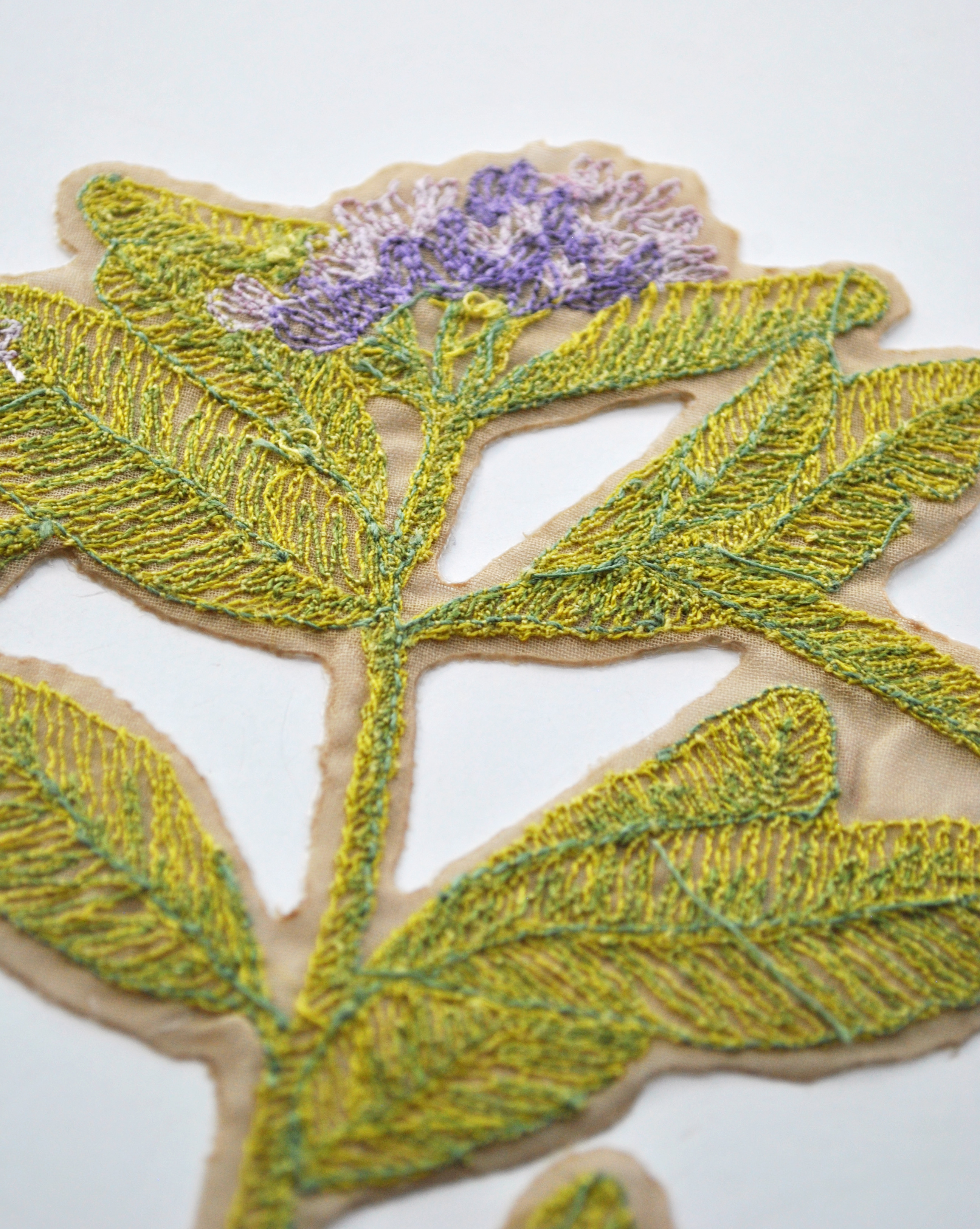 Large Iron On Milkweed Embroidered Patch