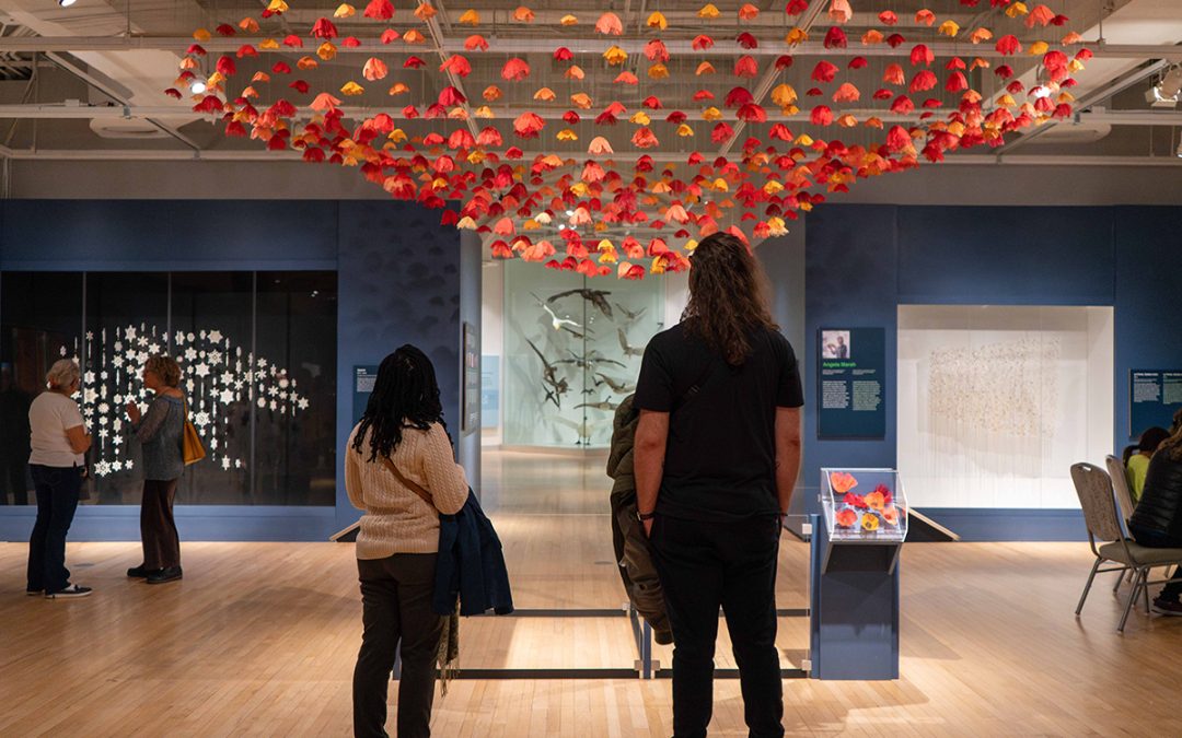 Exhibition: Rewilding at The Canadian Museum of Nature