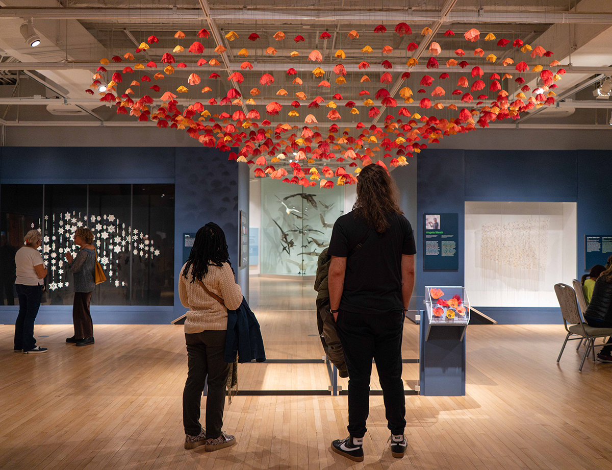 Amanda McCavour Rewilding at the Canadian Museum of Nature