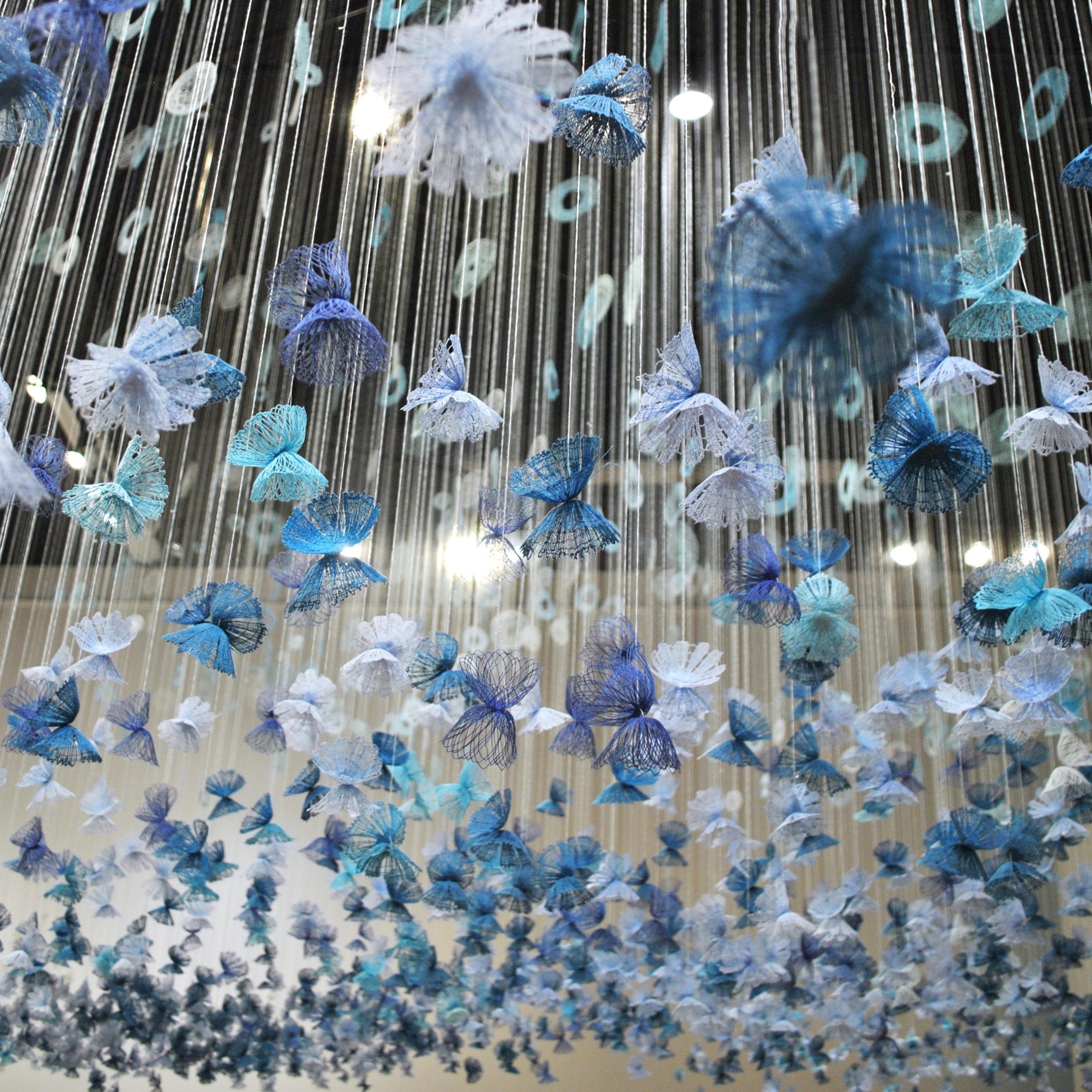Amanda McCavour Bleu Ciel at La Sarre